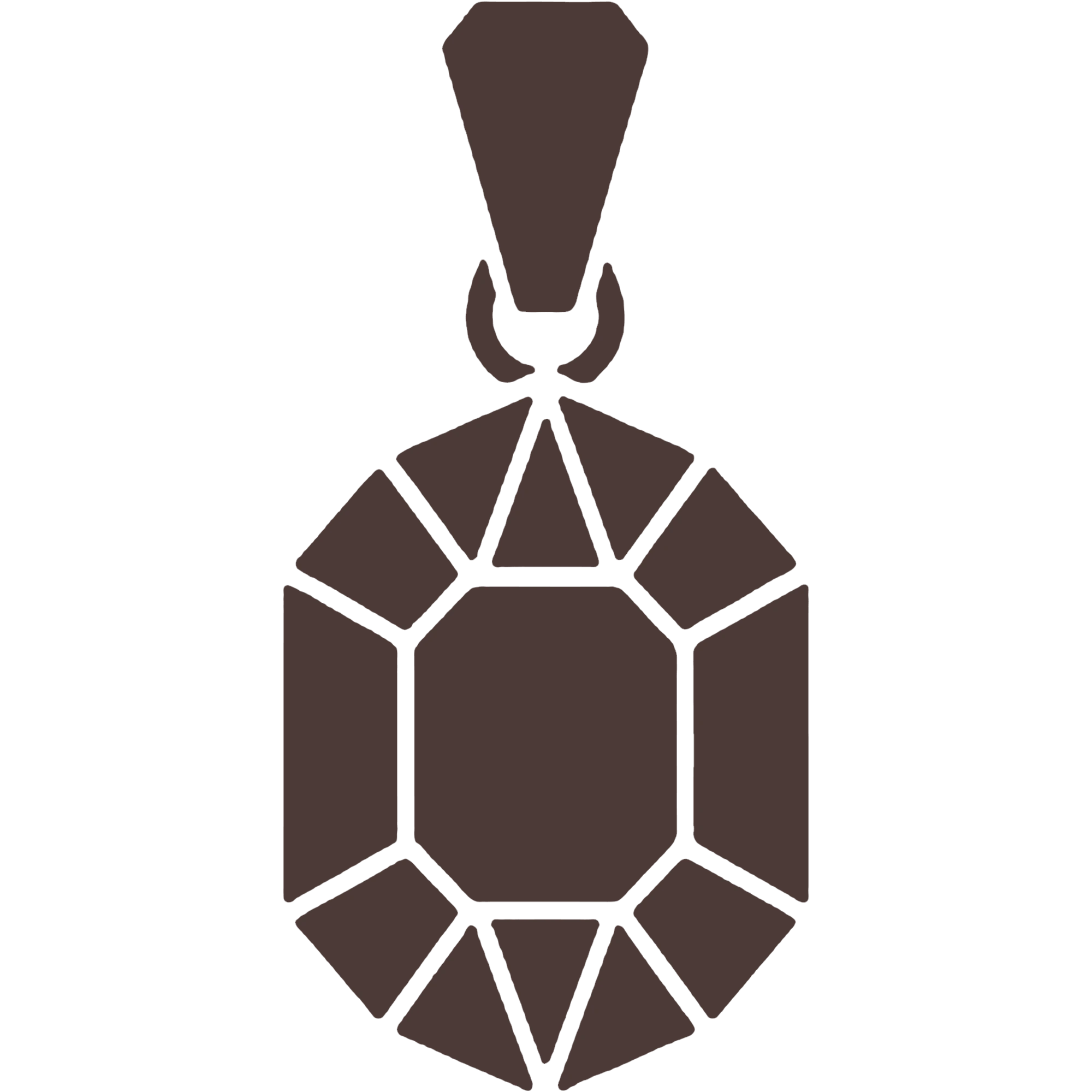 Pendant / Necklace